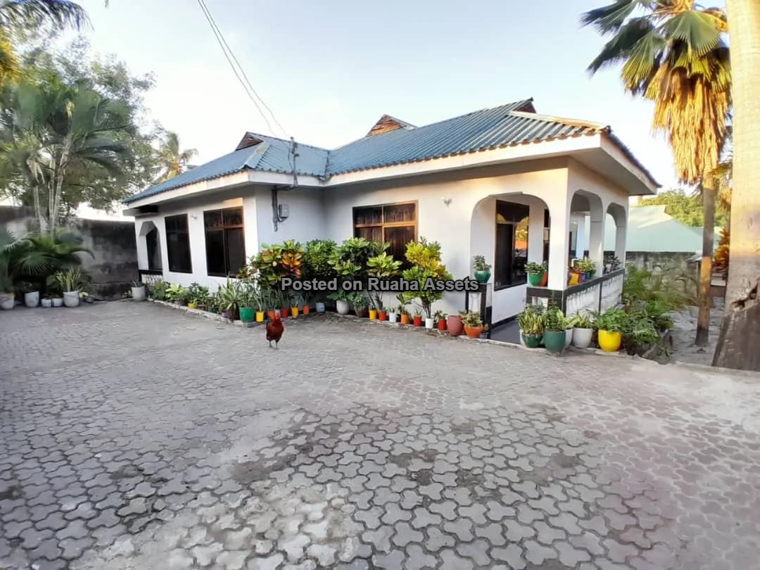 A Stunning House for Sale image 4