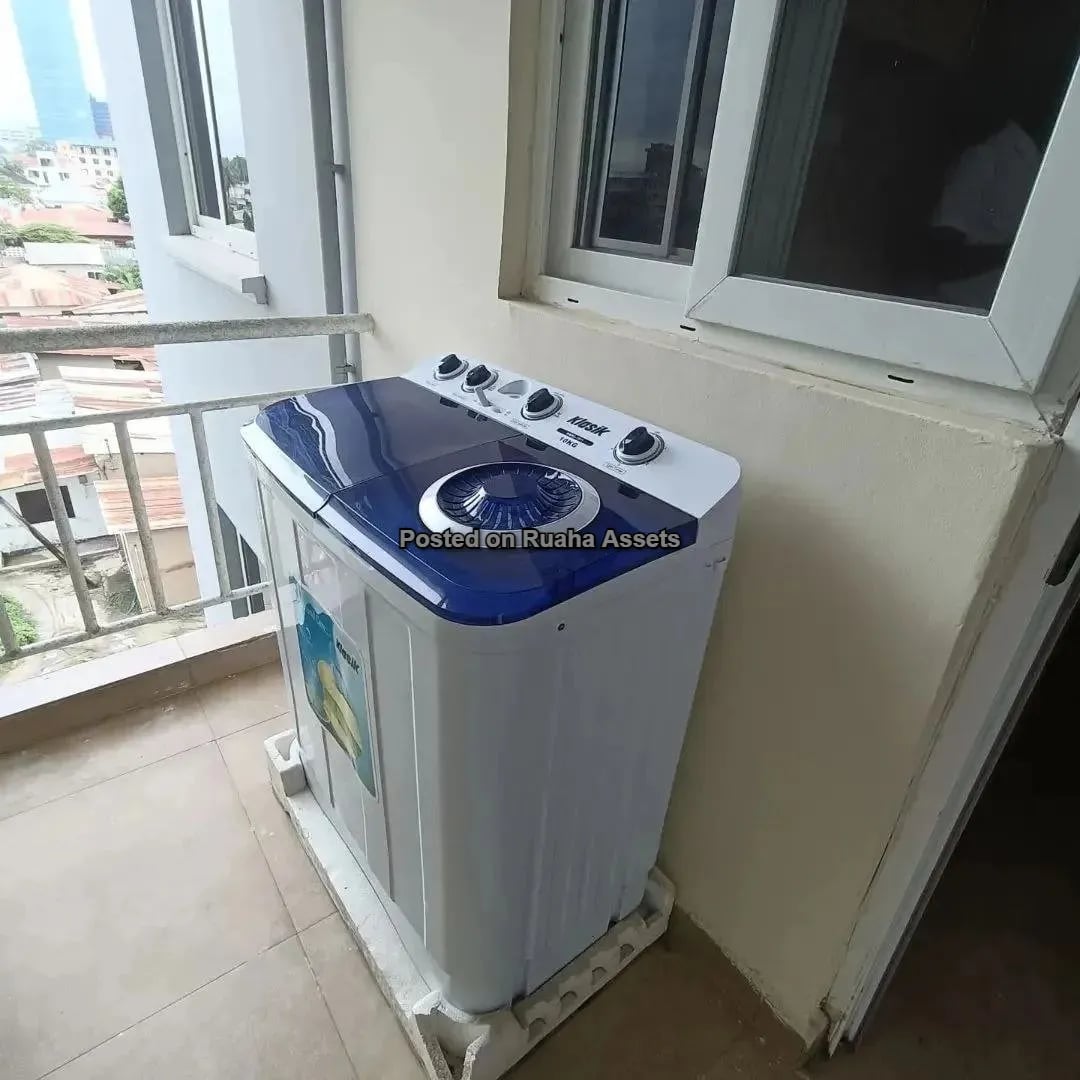 Fully Furnished Apartment for lease at Sinza image 6