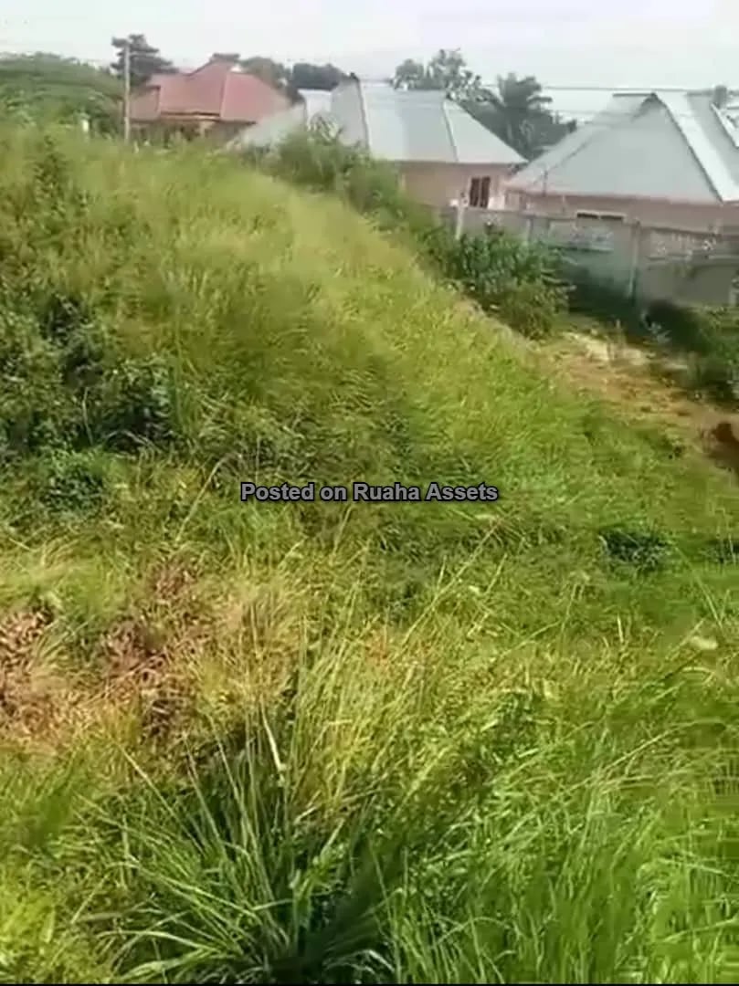 A plot for Sale at Kimara Korogwe image 2