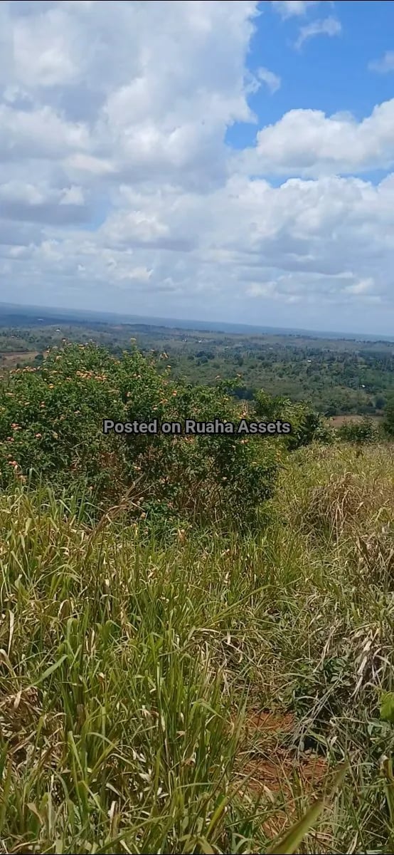 Huge Industrial Plot for sale at Kisarawe image 3