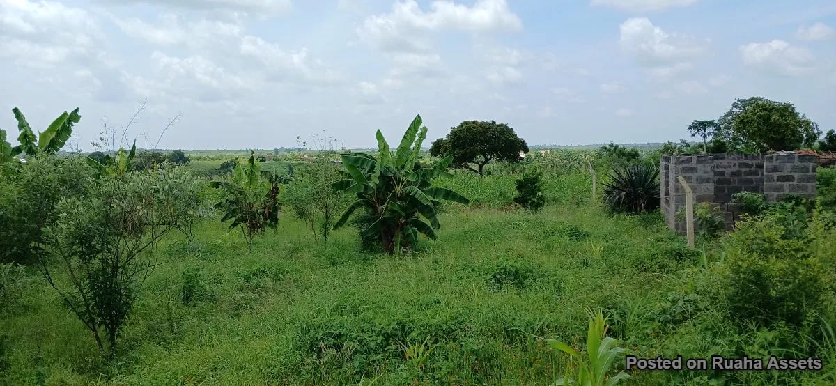 2 acres for sale at Kibaha image 2