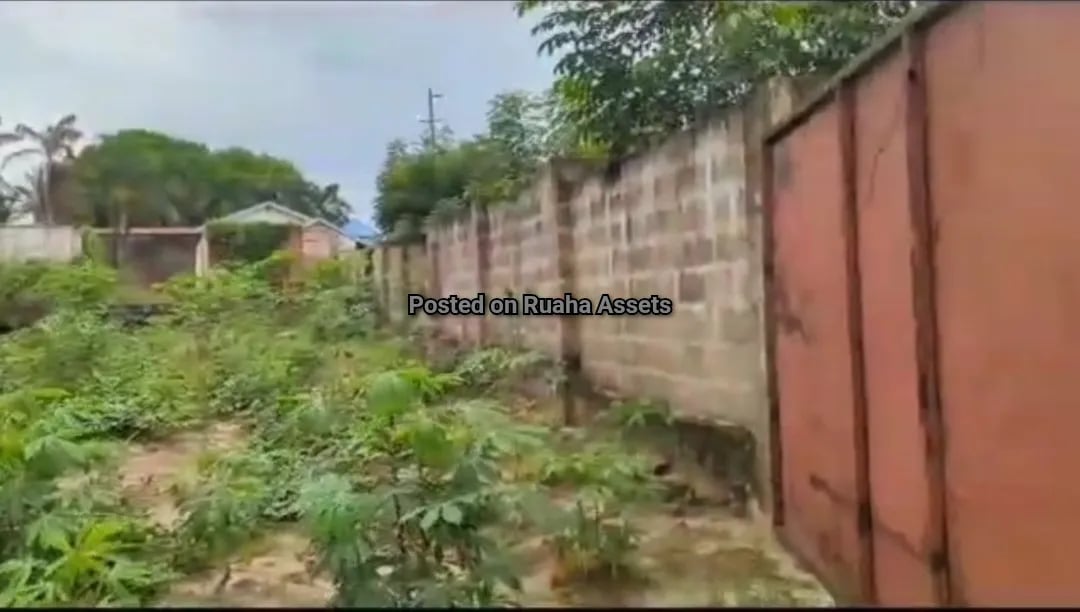 Commercial Plot for Sale Tabata Segerea image 5