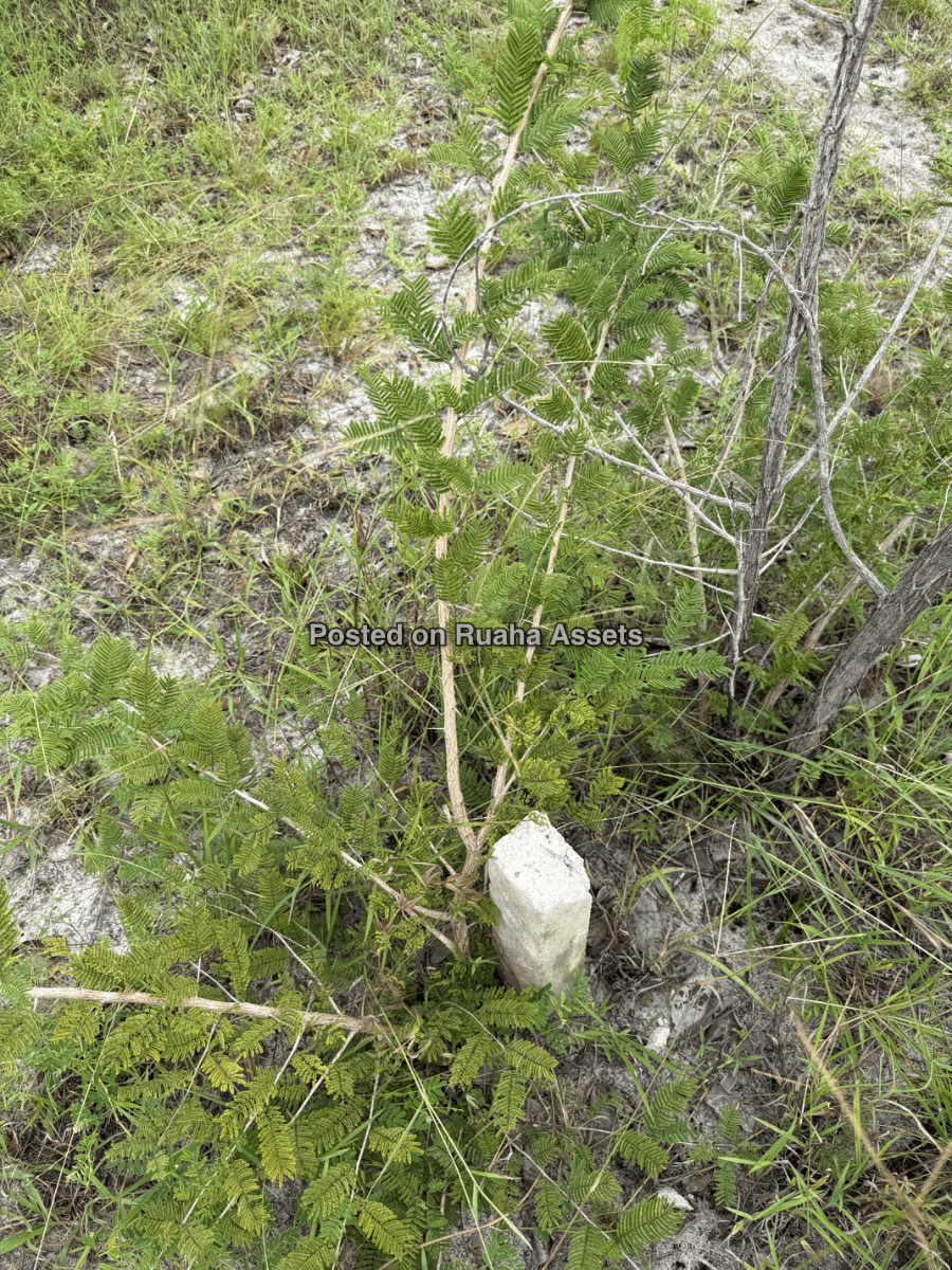 A 10 acre plot for sale at Mkuranga image 5
