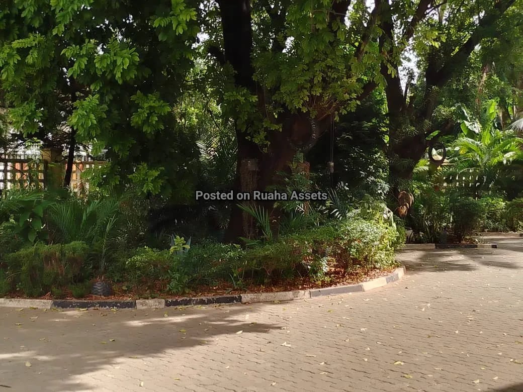House for Lease at Mikocheni image 11