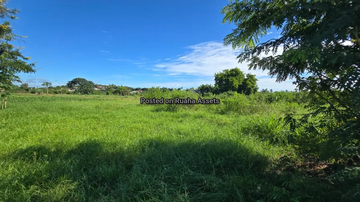 Plot for Sale at Chamazi  image 6