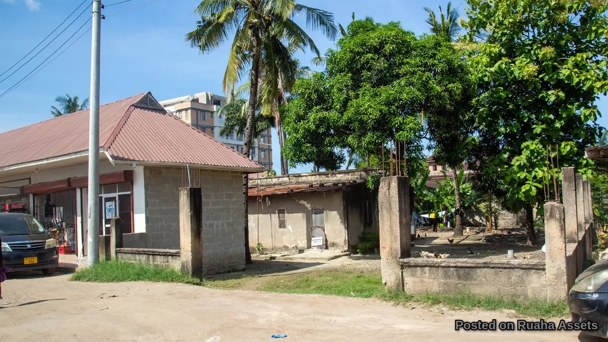 Prime plot Mbezi Beach: Investment Ready - Rent, Build, Sell! image 2