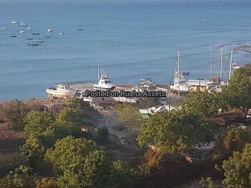 Three Bedroom Furnished Apartment for Rent at Masaki image 5