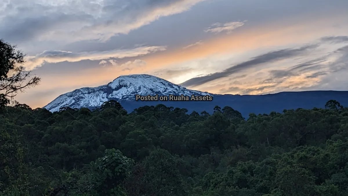 4 acres on the foot of Mt. Kilimanjaro for Sale image 1