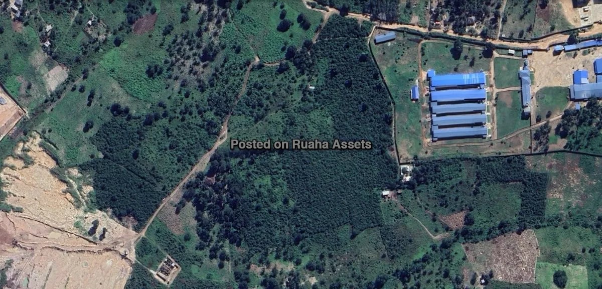 Prime Land For Sale 16.87 ACRES image 3