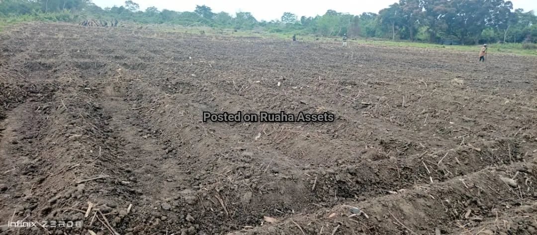 Flat farm along Wami river for Sale image 4