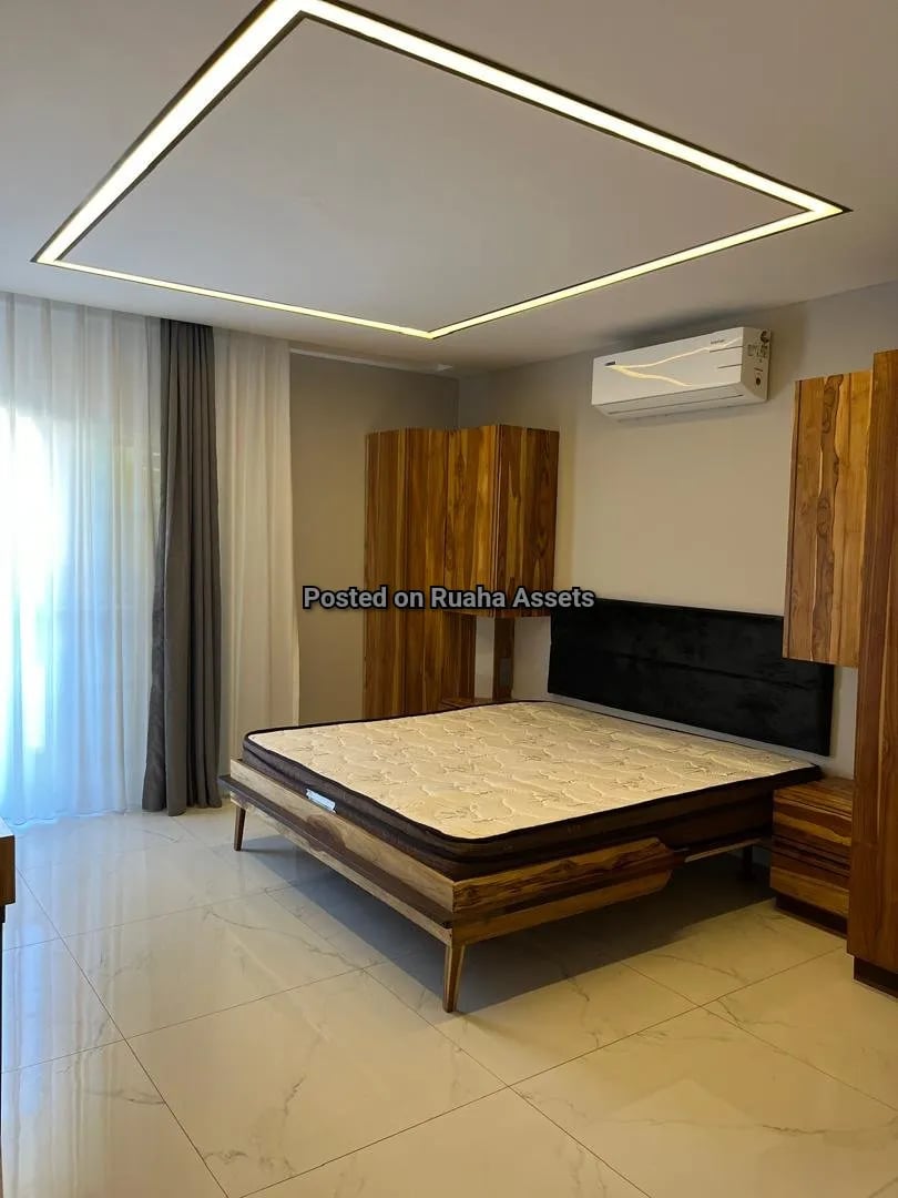 Furnished apartment for lease at Masaki image 3