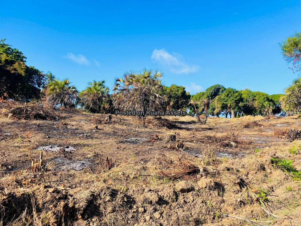 Surveyed Beach Plots for Sale at Kigamboni Kimbiji ( Survey No: DSMI0019642, Registered Plan No: DSMS0027649) image 3