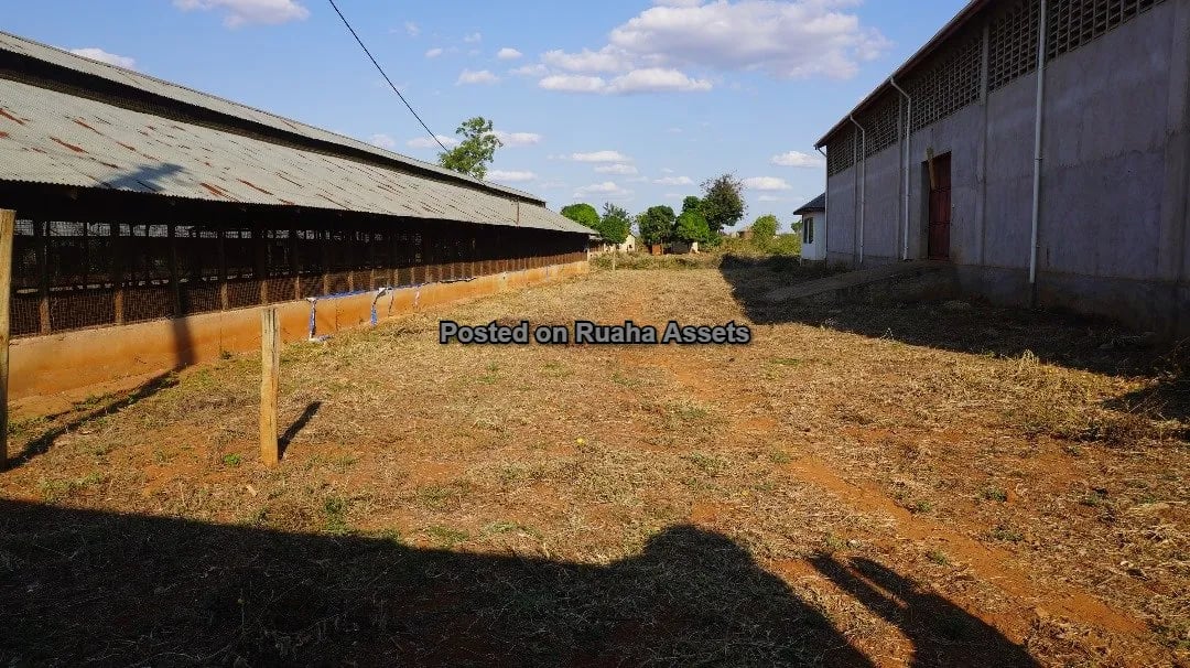 Shamba Kubwa Lenye Majengo ya Ufugaji Linauzwa image 5