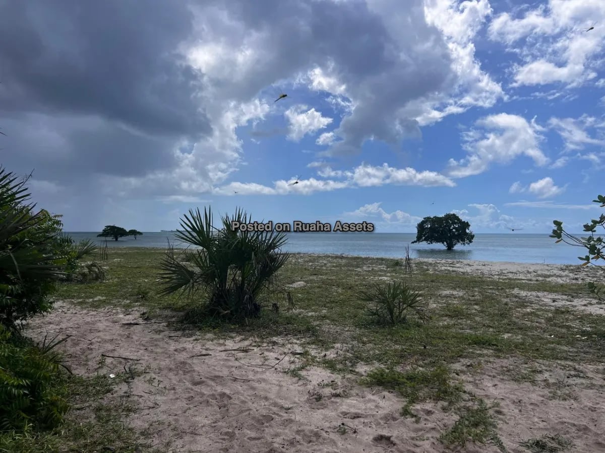 Prime Beachfront Commercial  Plot for Sale - Mjimwema Gezaulole, Kigamboni, Dar es Salaam image 8