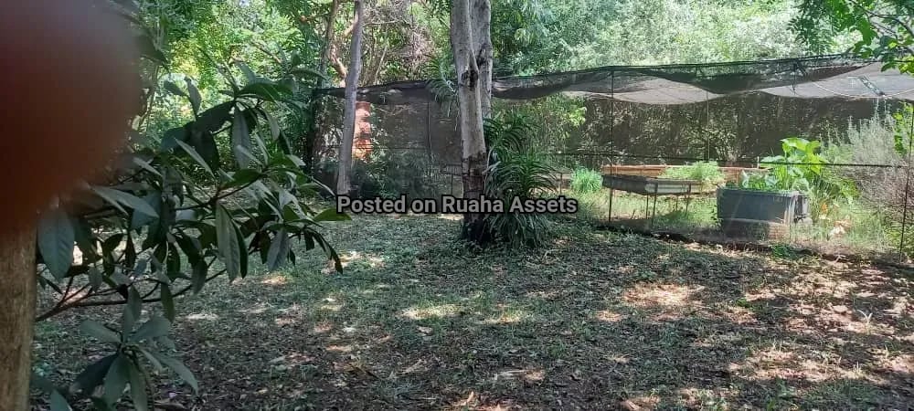 Big Plot with a House for Sale Njiro Arusha image 19