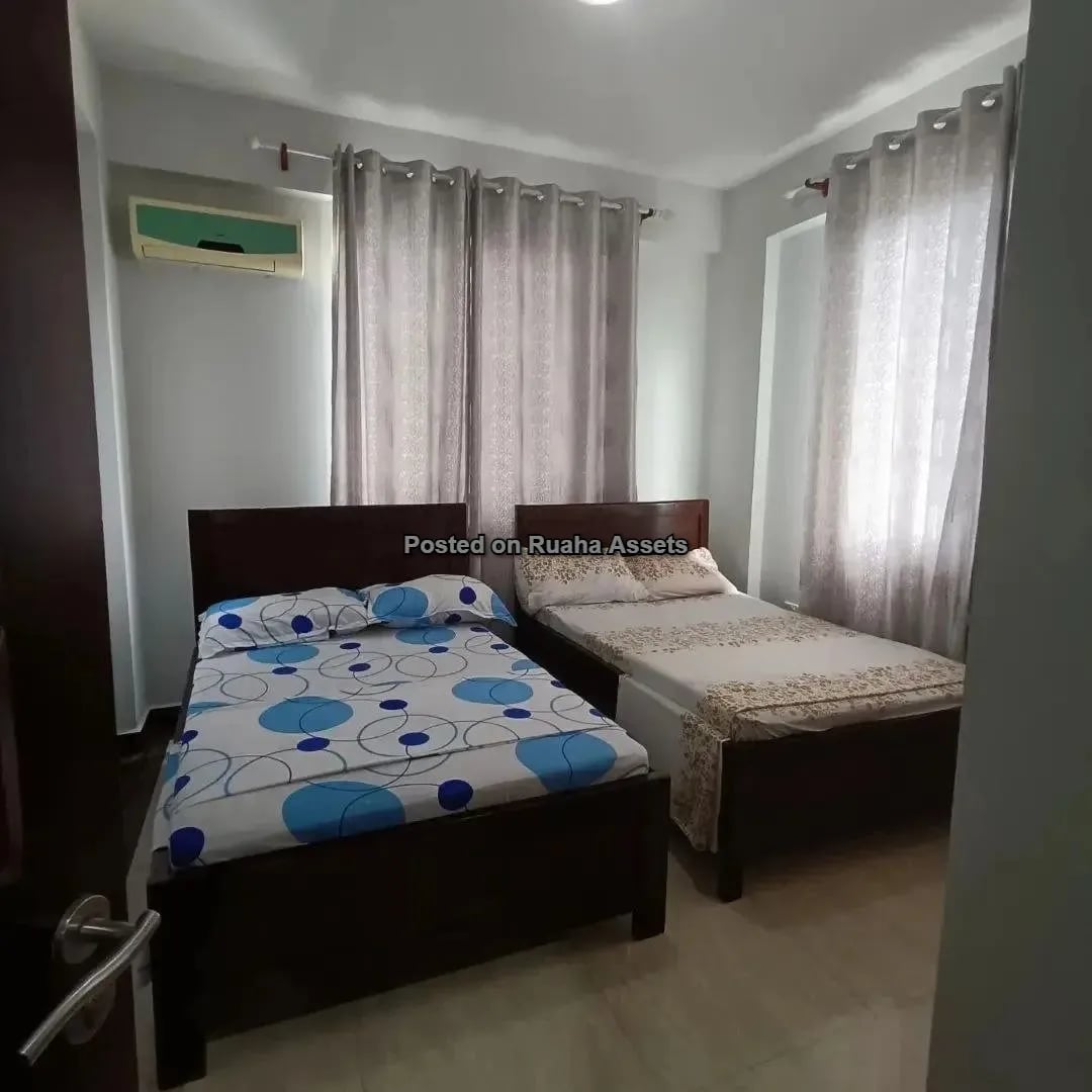 Fully Furnished Apartment for lease at Sinza image 8