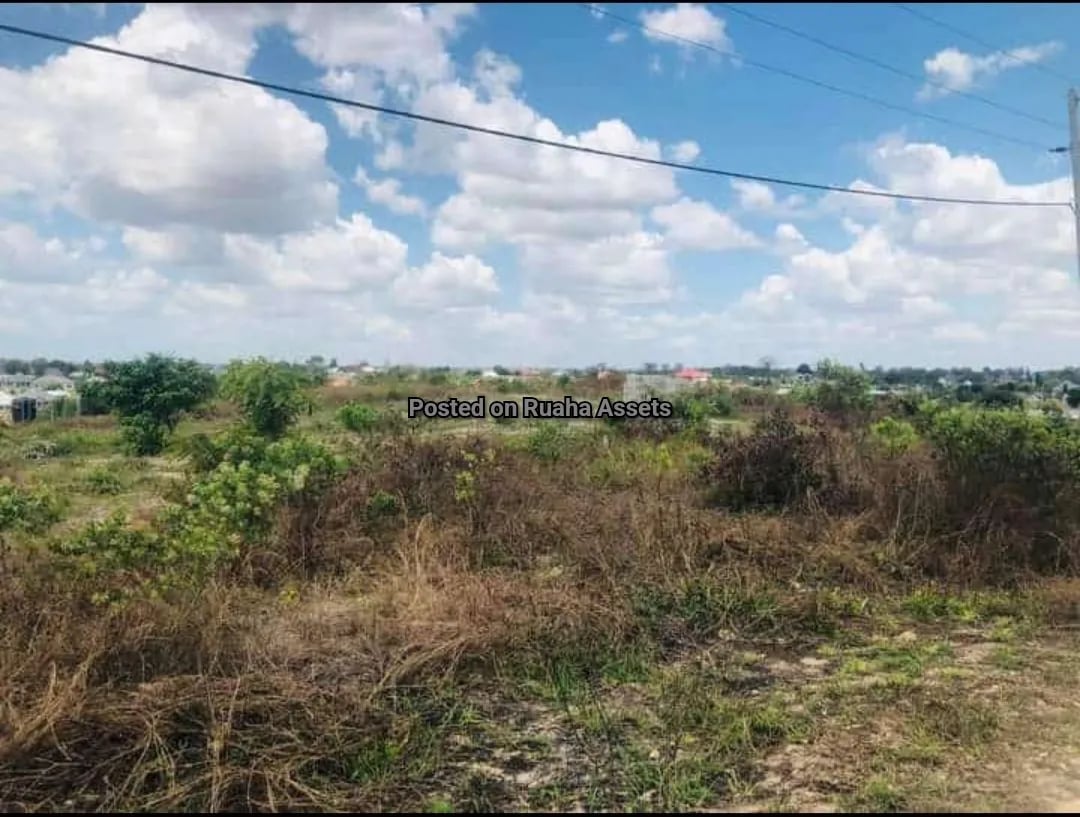3 Acres for Sale at Mbweni B image 1