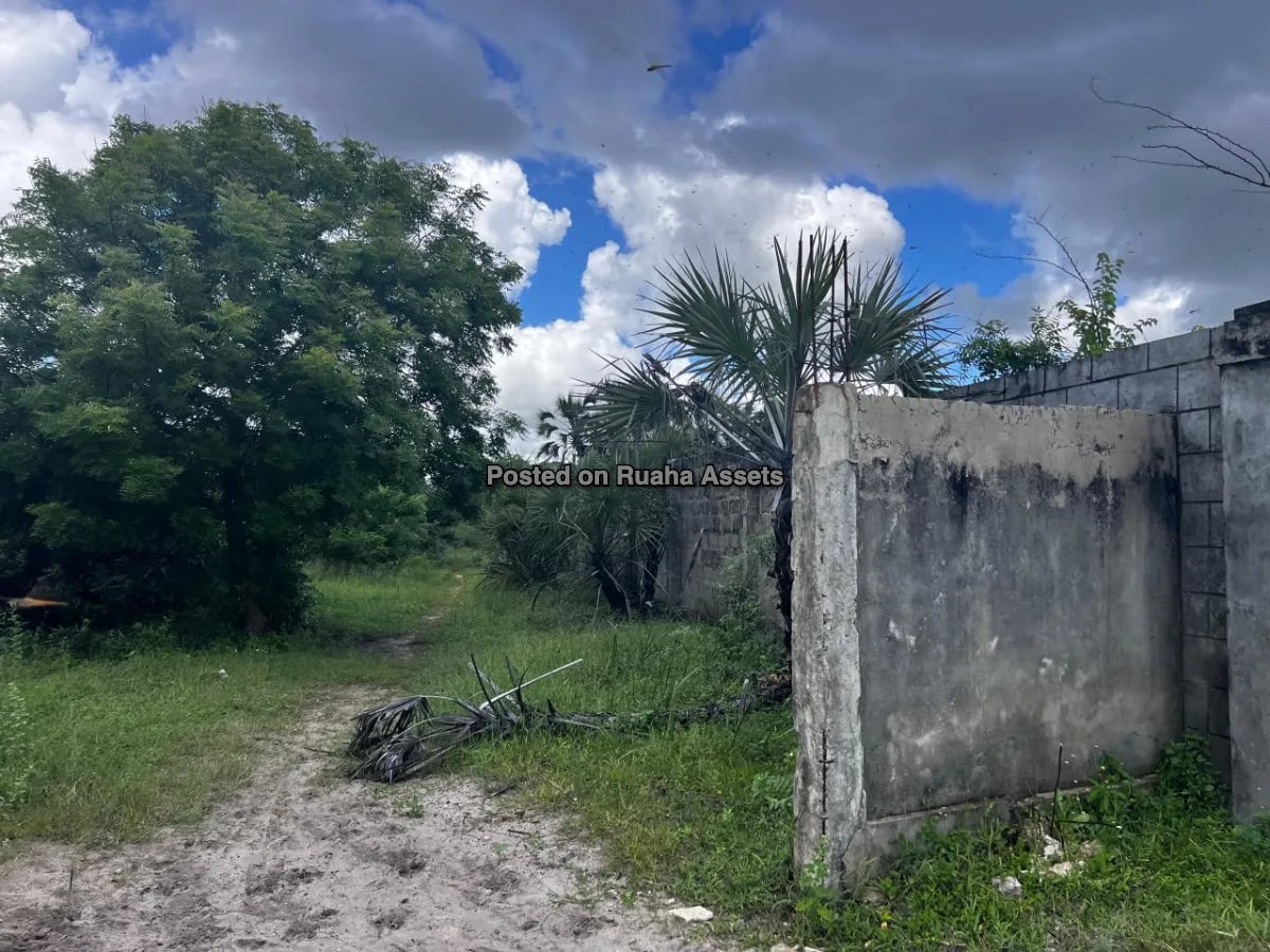 Prime Beachfront Commercial  Plot for Sale - Mjimwema Gezaulole, Kigamboni, Dar es Salaam image 3