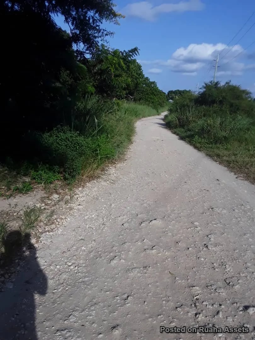 1 acre for sale, Mataya - Bagamoyo image 2