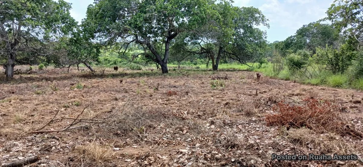 Land for sale at Kibaha - Boko Mnemela. image 5