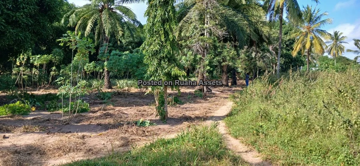 7 Acres of Mixed plots for Sale at Mvuti, Dar es Salaam image 13