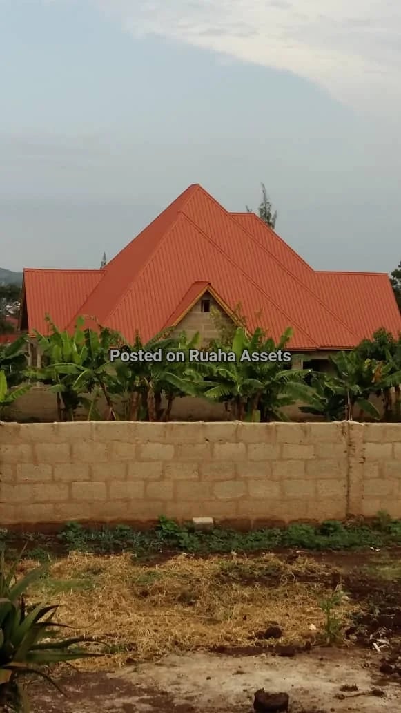 Pagala linauzwa Dampo Arusha image 2