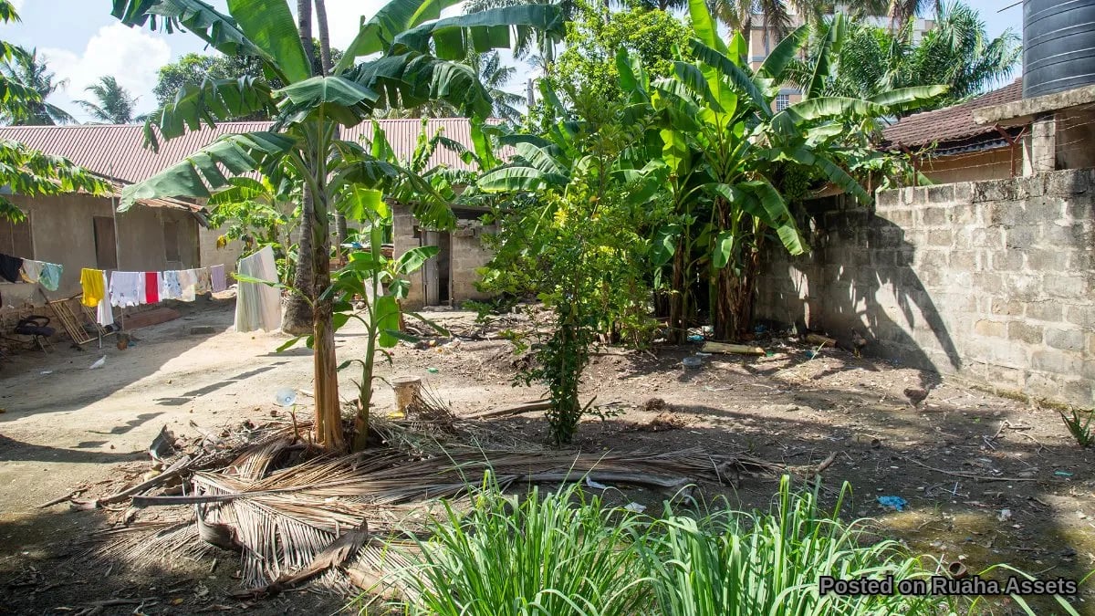 Prime plot Mbezi Beach: Investment Ready - Rent, Build, Sell! image 6