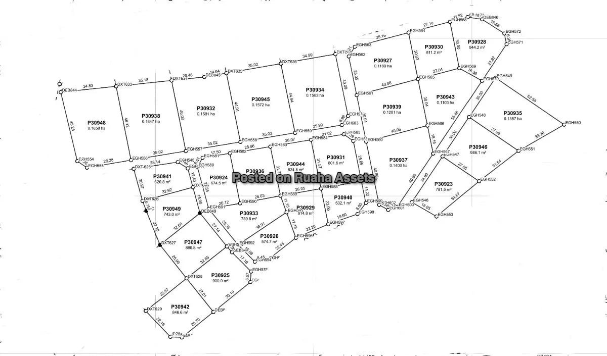 Prime Residential Plots in Nyakasangwe, Wazo Hill, Dar es Salaam image 4