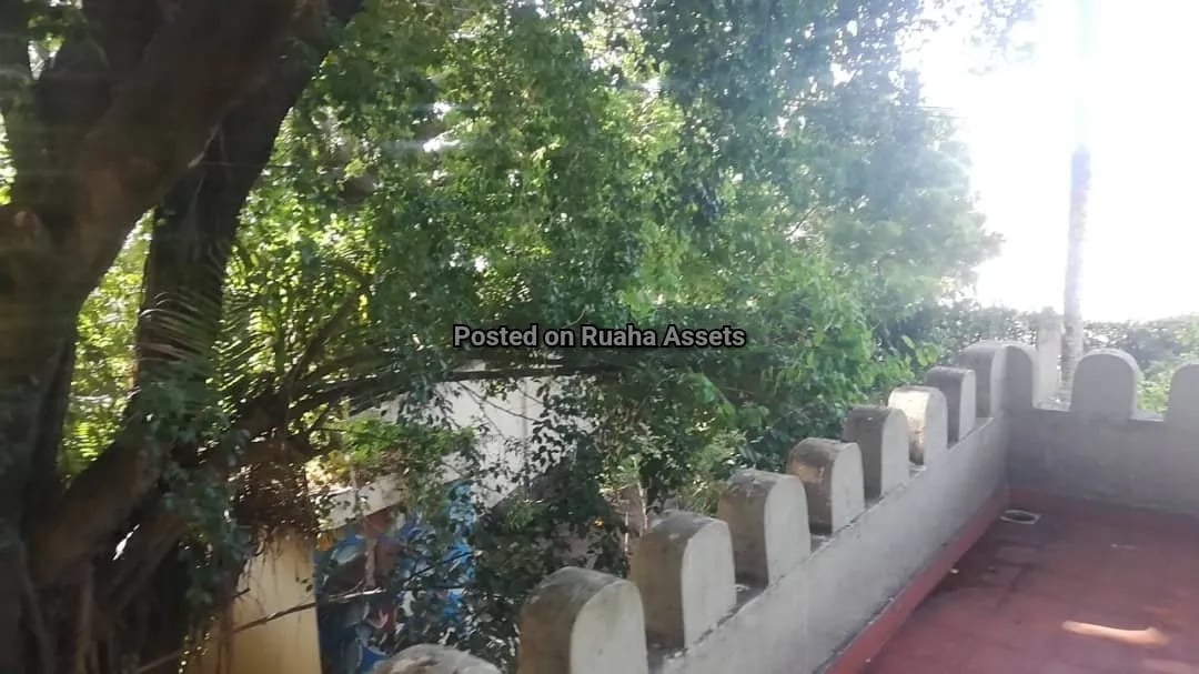 Beach house for rent at Msasani image 17