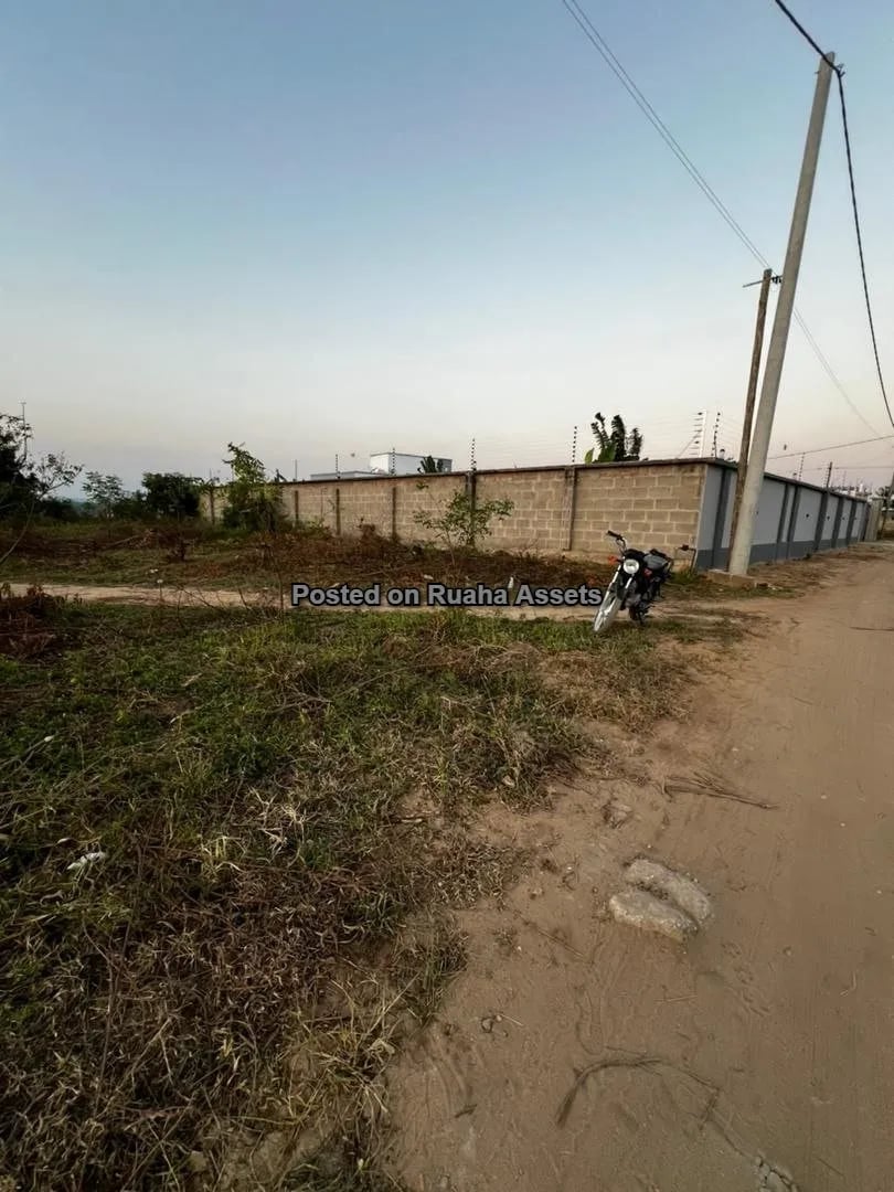 Ocean View Plot for Sale image 2