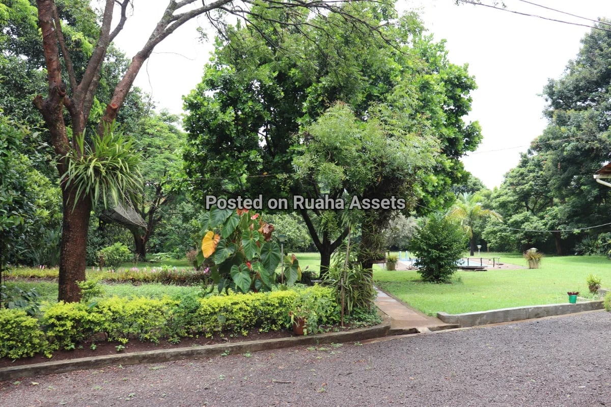 Villa for Sale at Shanti town Moshi image 4