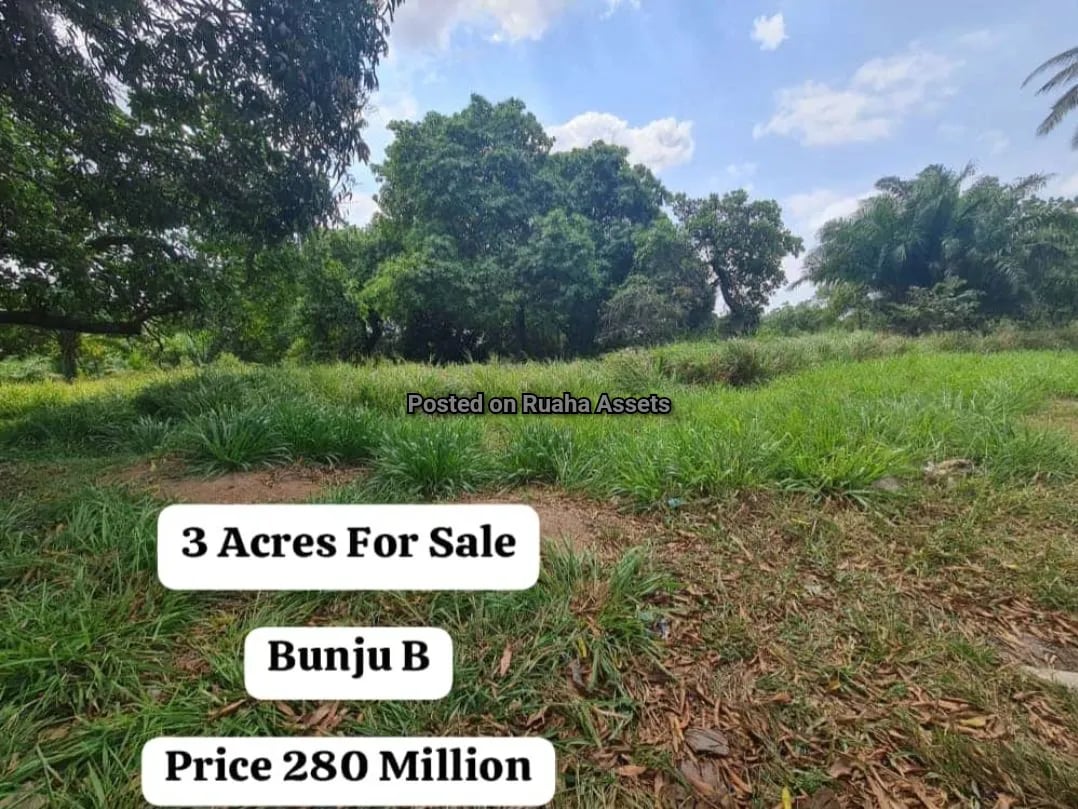 3 Acres for Sale at Mbweni B image 5