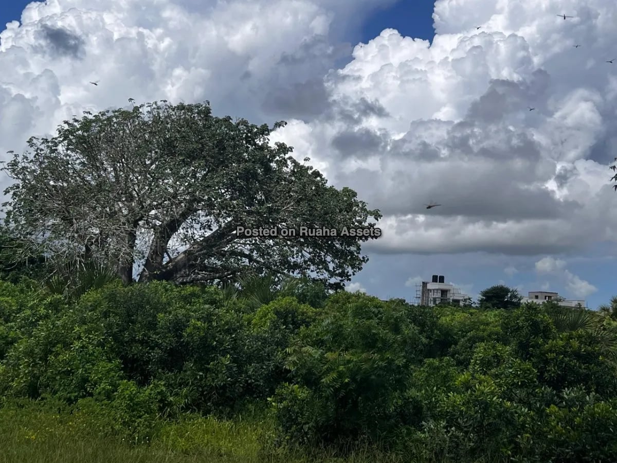 Prime Beachfront Commercial  Plot for Sale - Mjimwema Gezaulole, Kigamboni, Dar es Salaam image 5