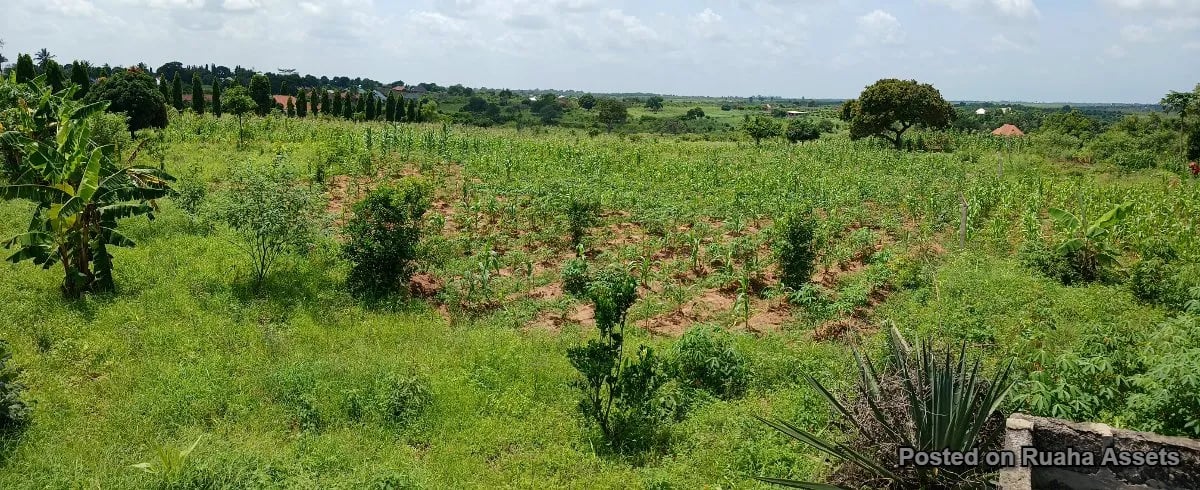 2 acres for sale at Kibaha image 4