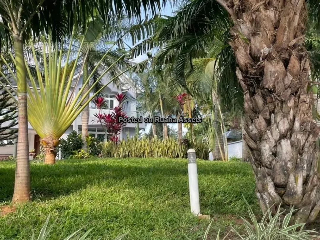 Villa for sale at Kimara Korogwe image 8