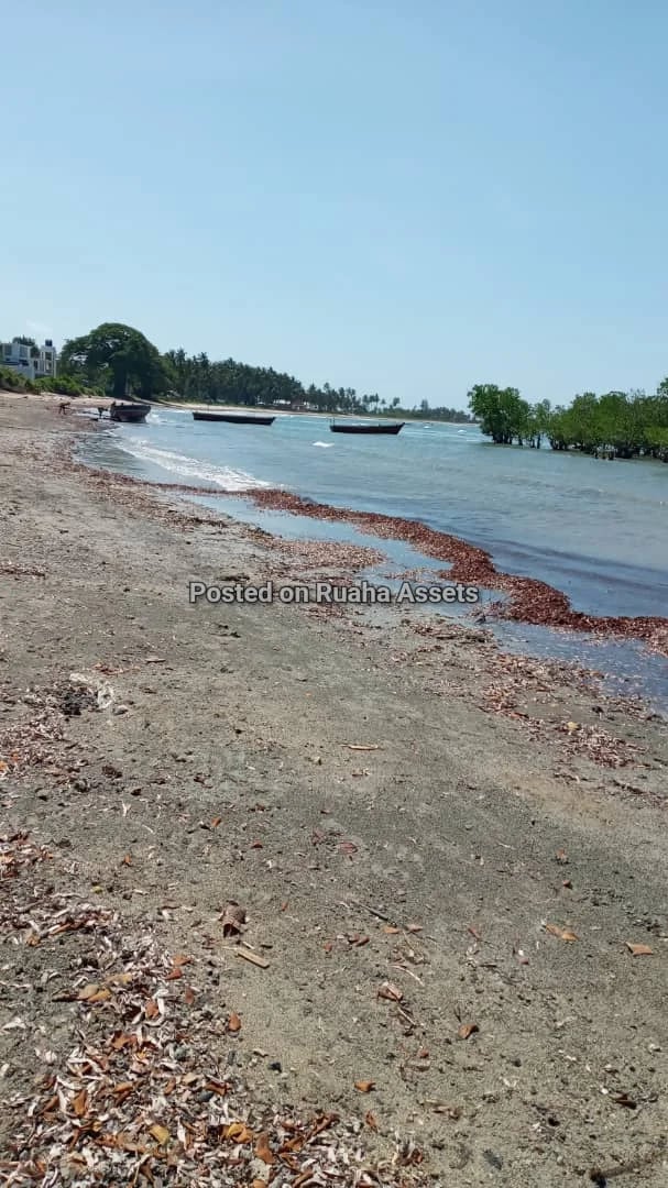 Beachplots for sale at Buyuni Kigamboni image 1