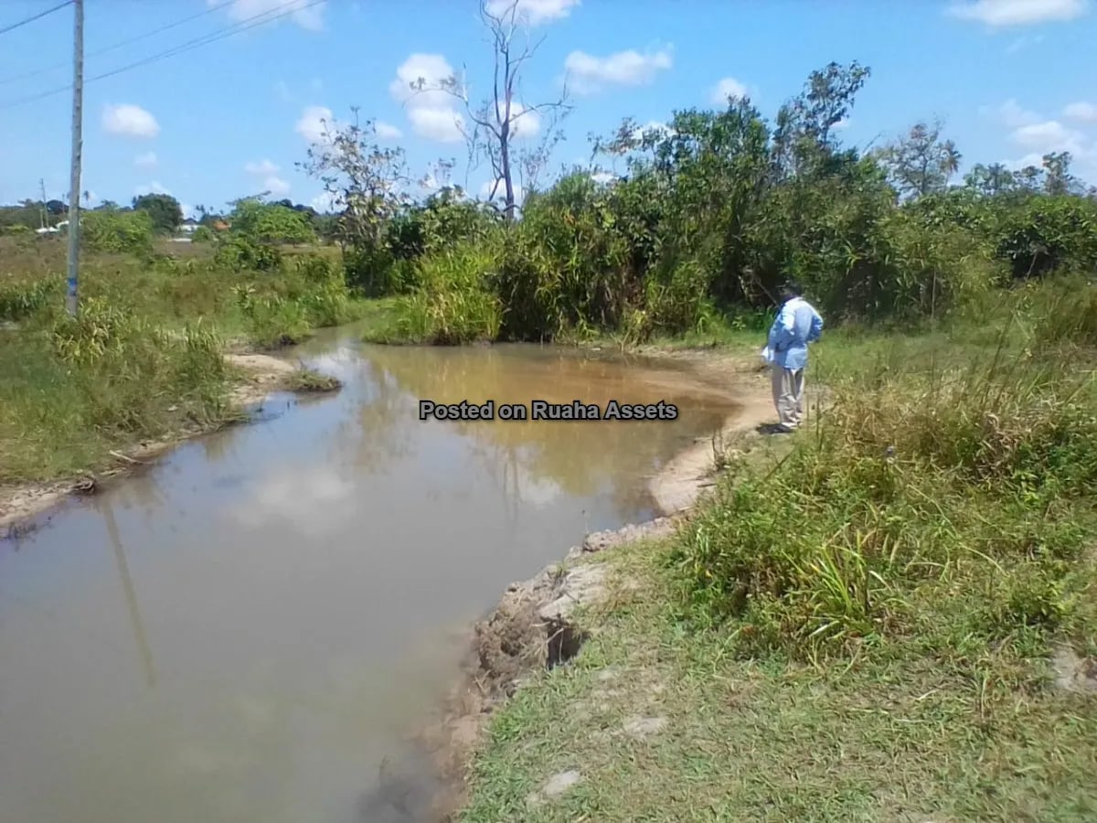 PLOT FOR  SALE AT MKURANGA image 4