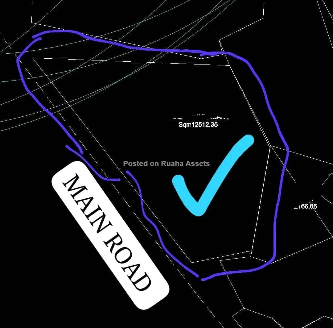 13 Commercial Plots Along Ntyuka to Mvumi Road in Dodoma image 1
