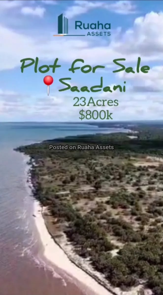 Prime Beachplot for Sale at Saadani image 1