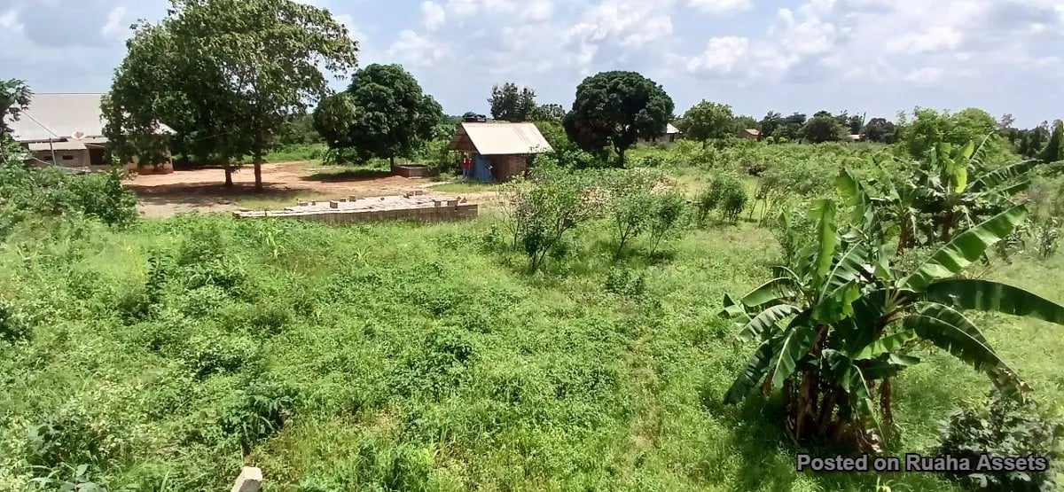 2 acres for sale at Kibaha image 5