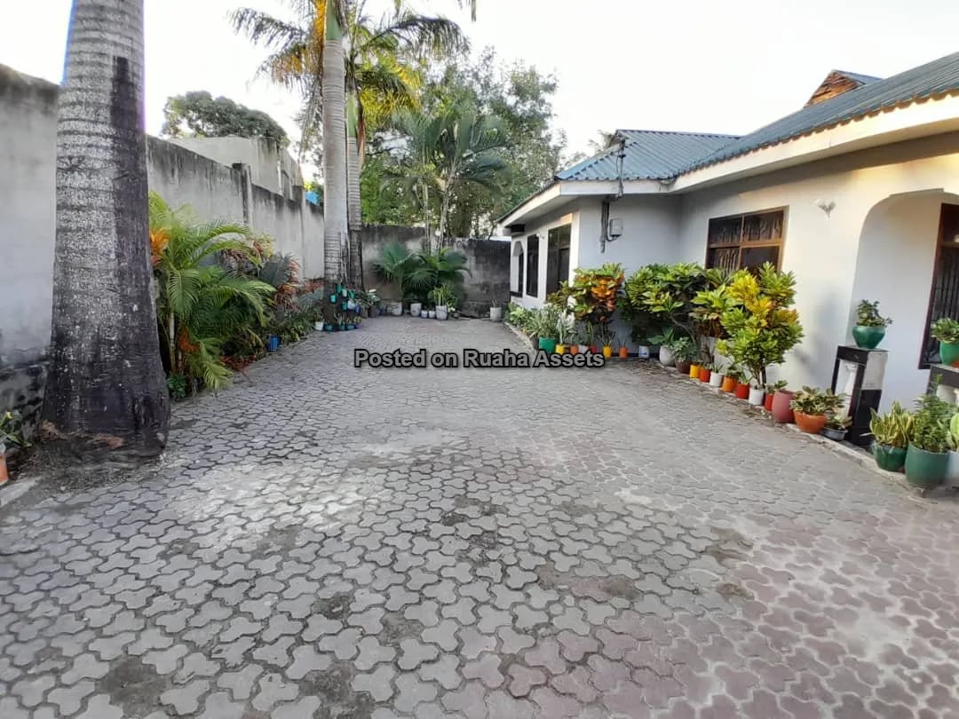 A Stunning House for Sale image 15