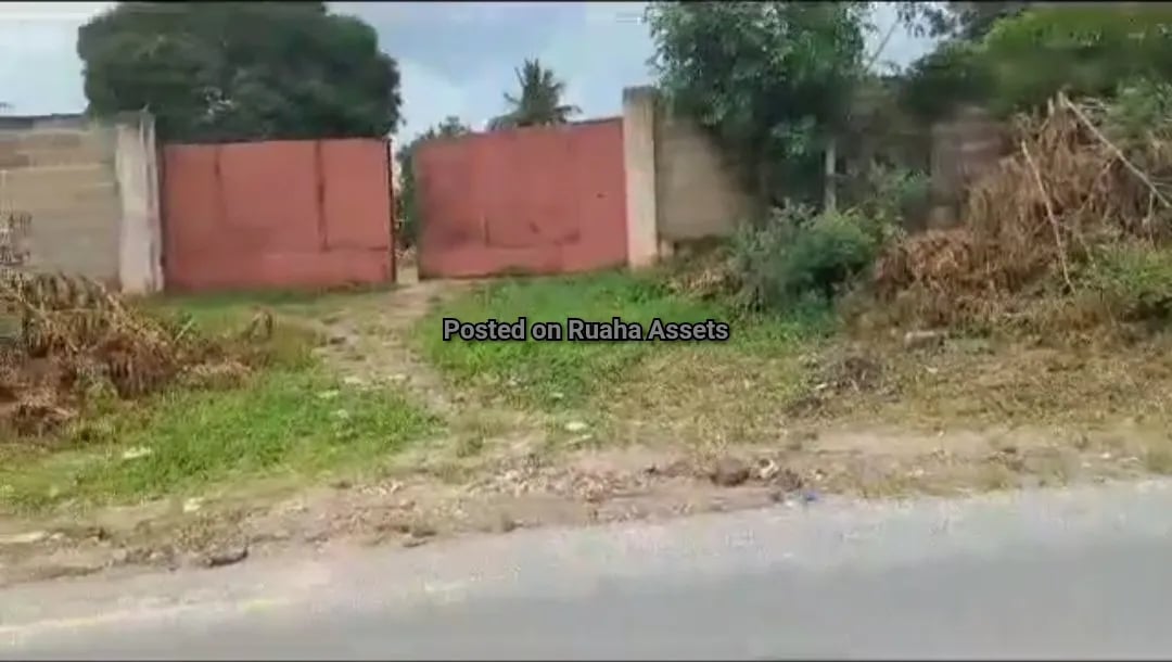 Commercial Plot for Sale Tabata Segerea image 2