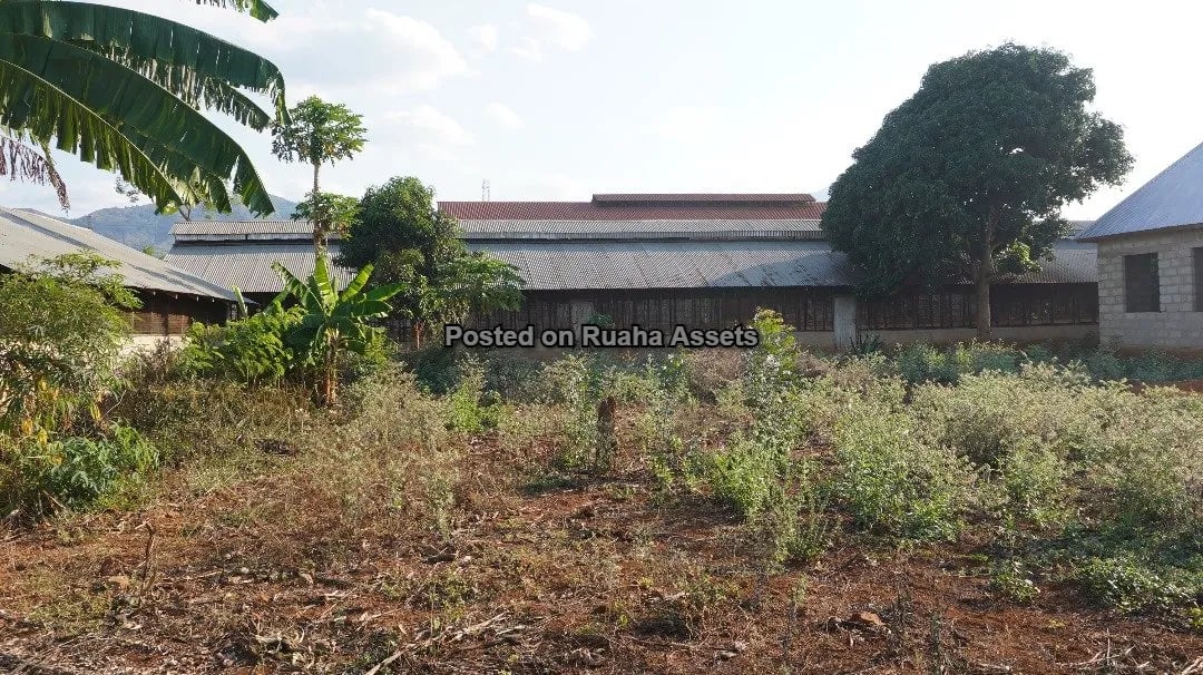 Shamba Kubwa Lenye Majengo ya Ufugaji Linauzwa image 10