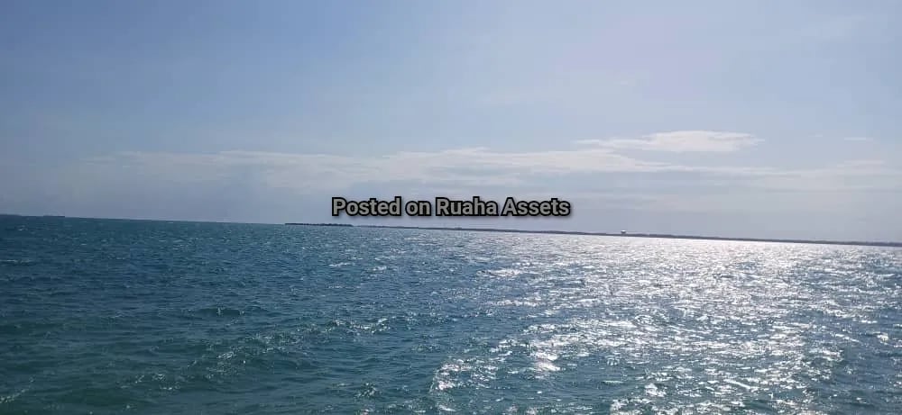 14 acres Beach Plot for Sale in Zanzibar image 4