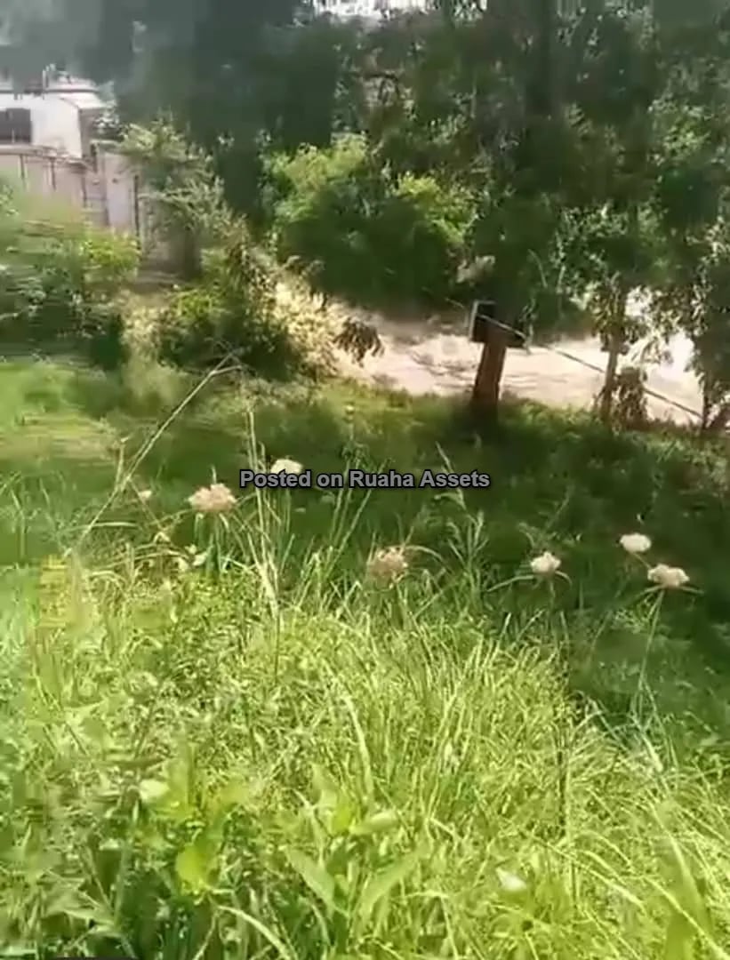 A plot for Sale at Kimara Korogwe image 6