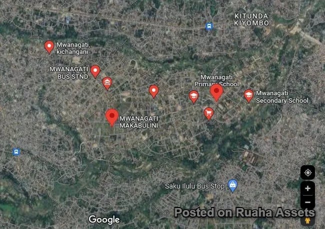 House 127 Mwanagati for Rent image 3