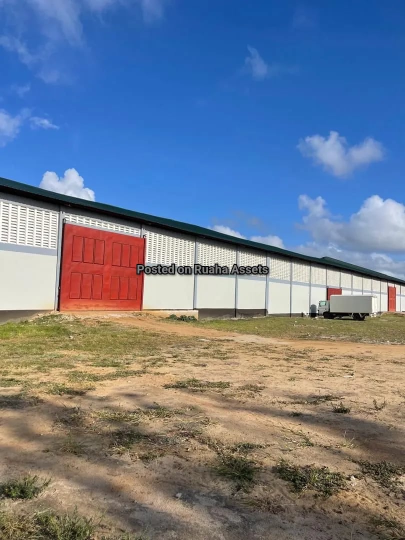 New Warehouse for sale at Mapinga image 5