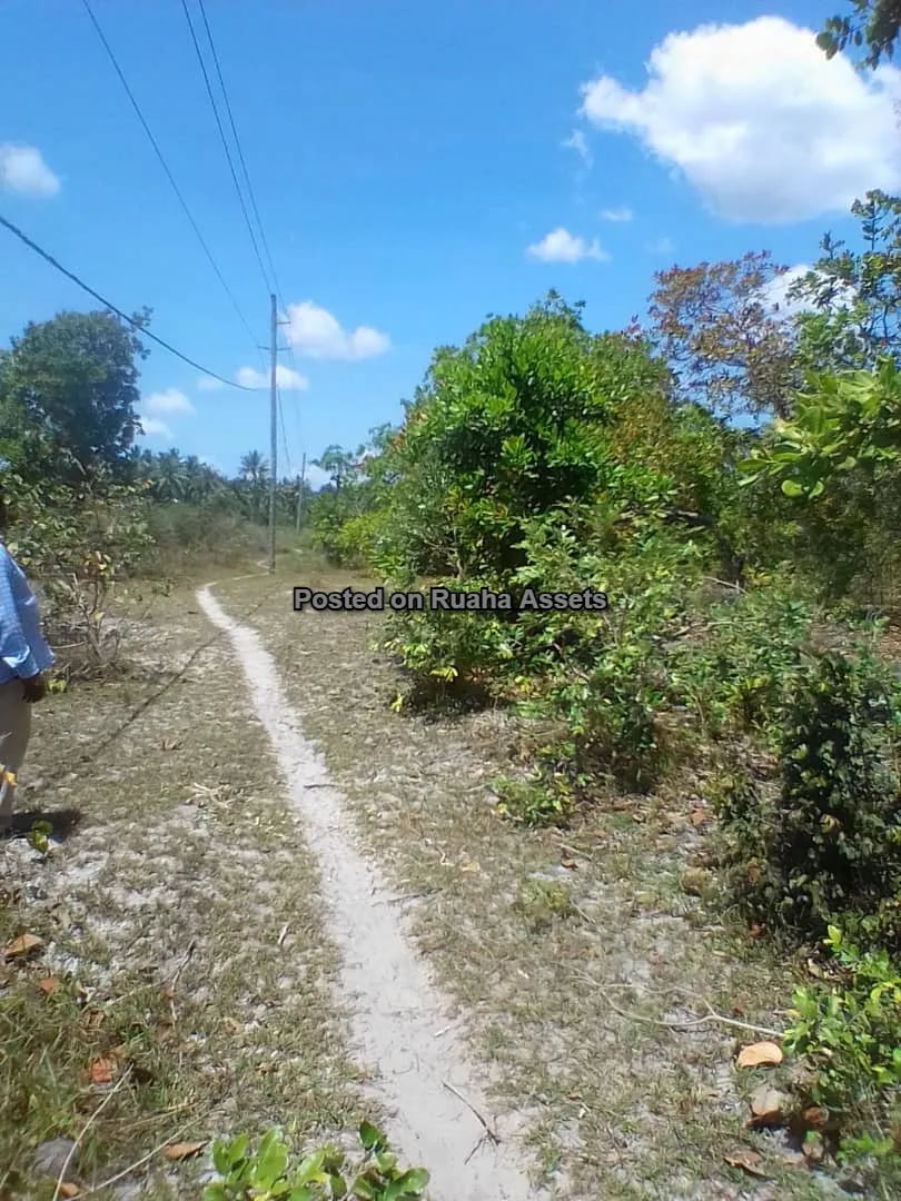 PLOT FOR  SALE AT MKURANGA image 8