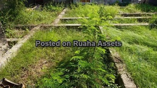 Art Gallery For Sale image 6