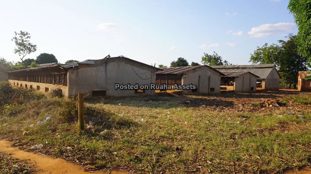 Shamba Kubwa Lenye Majengo ya Ufugaji Linauzwa image 6